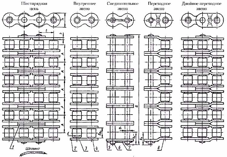         (6  6)